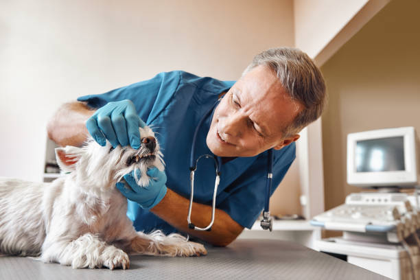 Best Emergency Dental Care for Trauma or Injury in Groveland, FL